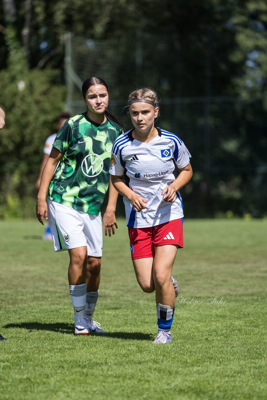 Bild 387 - wBJ Hamburger SV - VfL Wolfsburg : Ergebnis: 5:1